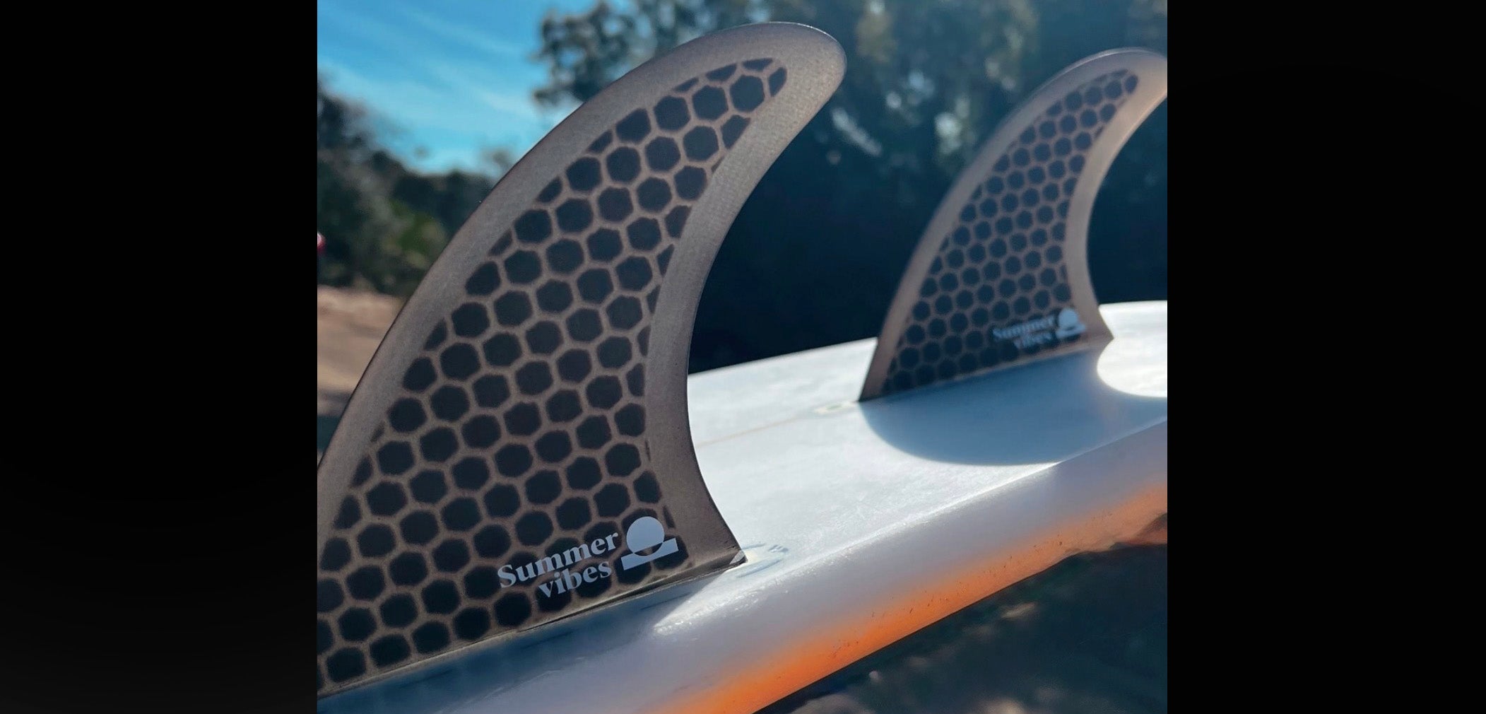 Surfboard & Softboard Fins
