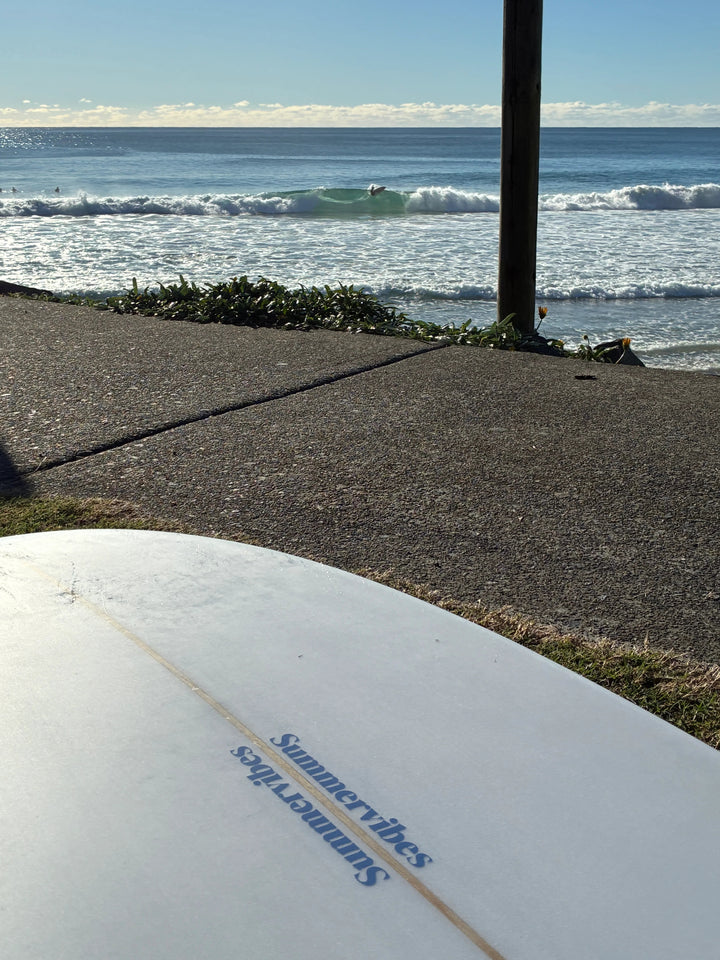 Summer vibes Fish Swallow Tail Surfboard - Blue / Tan