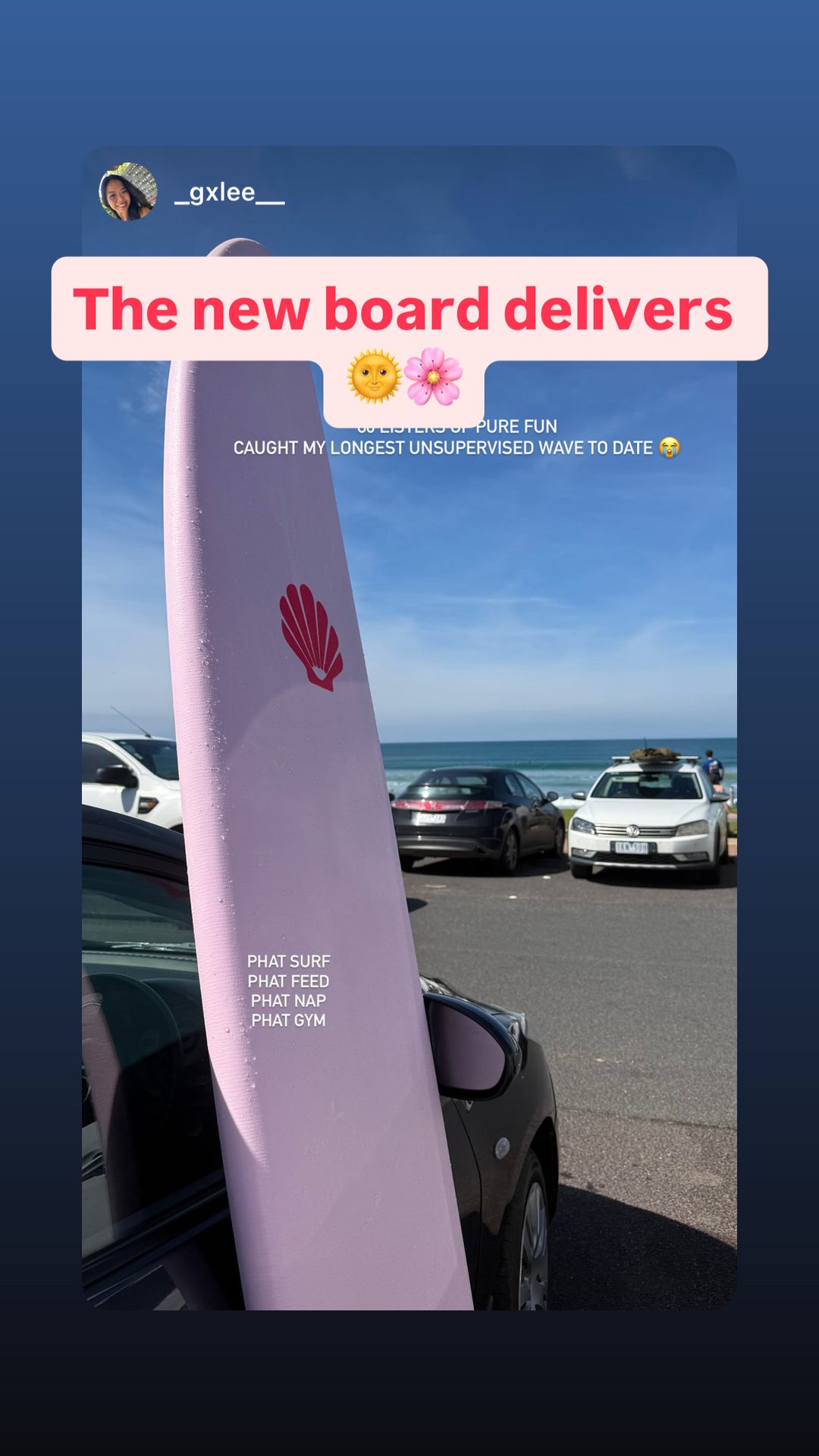 Summer vibes x Seaside Ave limited edition Mini Mal 8' Softboard - Pink Blue