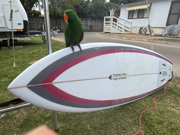 Summer vibes Fish Swallow Tail Surfboard – Red