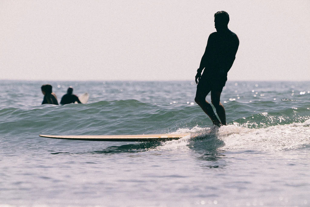 Premium Mega Fish and Glider Softboard Hire Coolangatta