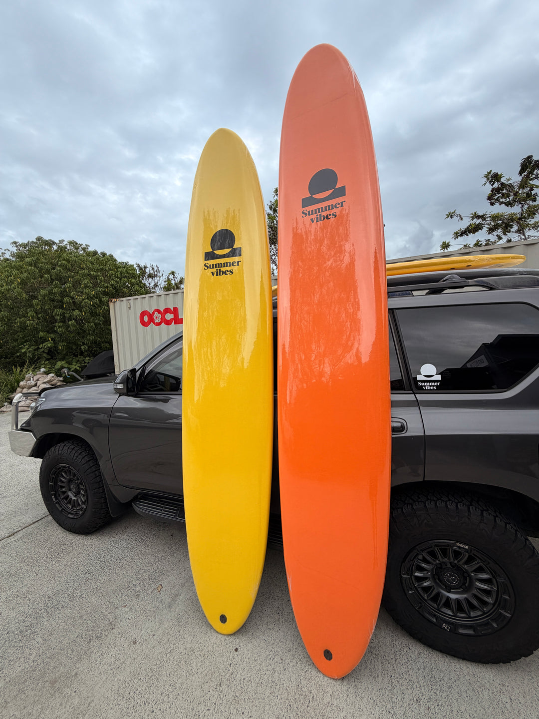 Premium Mega Fish and Glider Softboard Hire Coolangatta