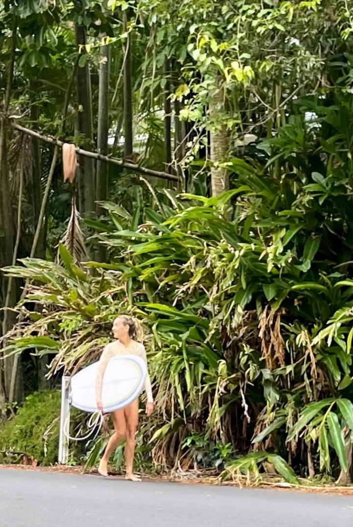 Summer vibes Fish Swallow Tail Surfboard - Blue / Tan