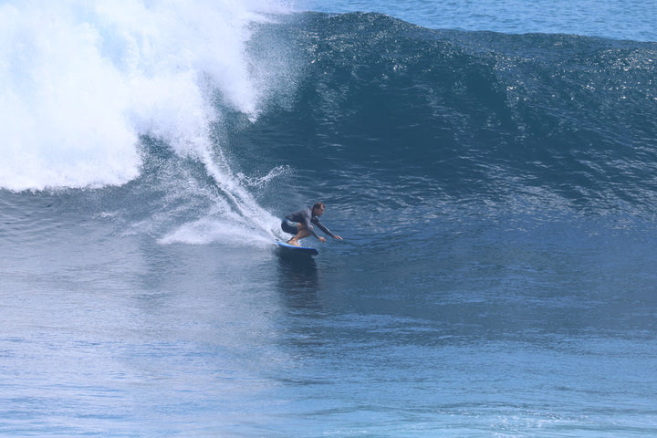 Surfer carving at the base of a wave on a Summer vibes Discus