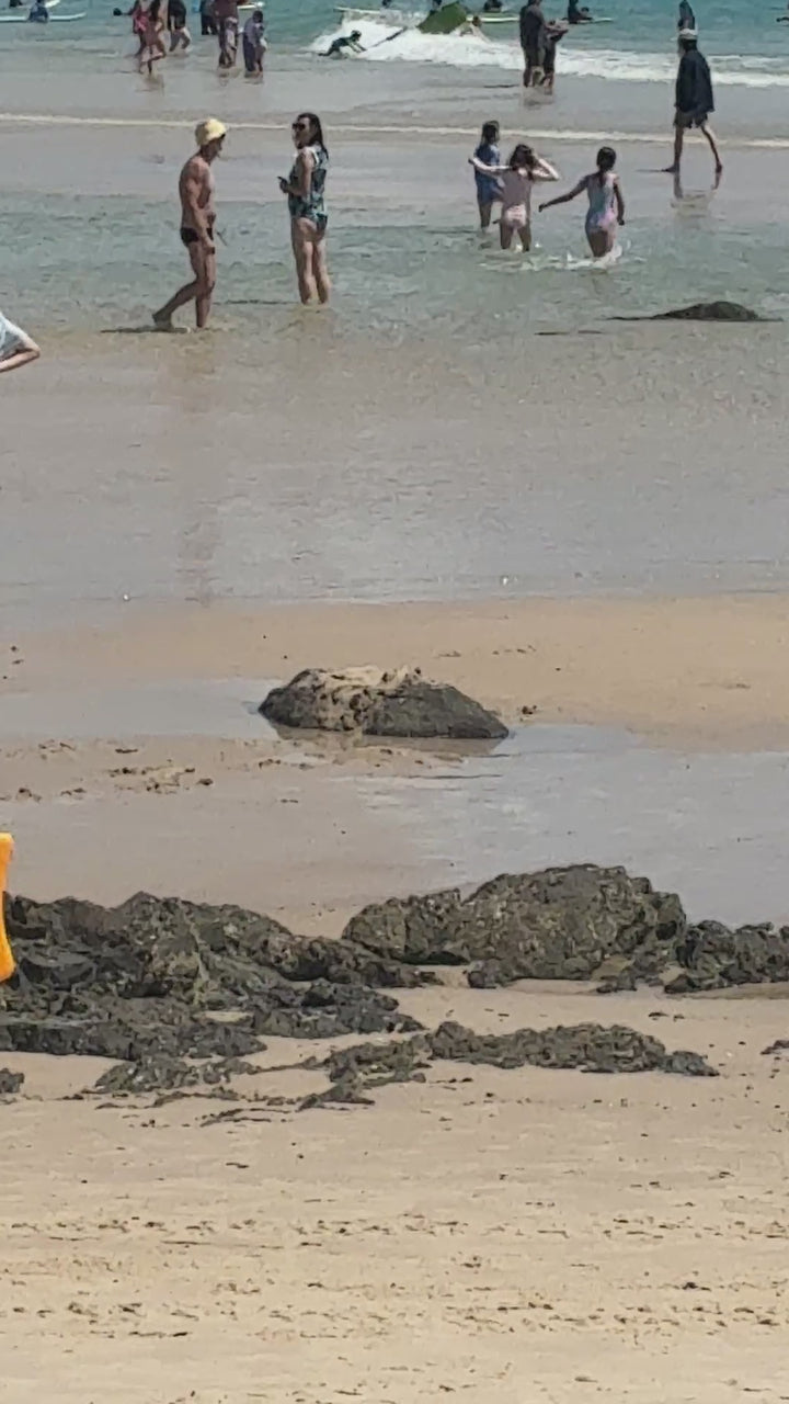 Summer vibes 22" Mini Bodyboard / Kick Board 56cm - Orange white