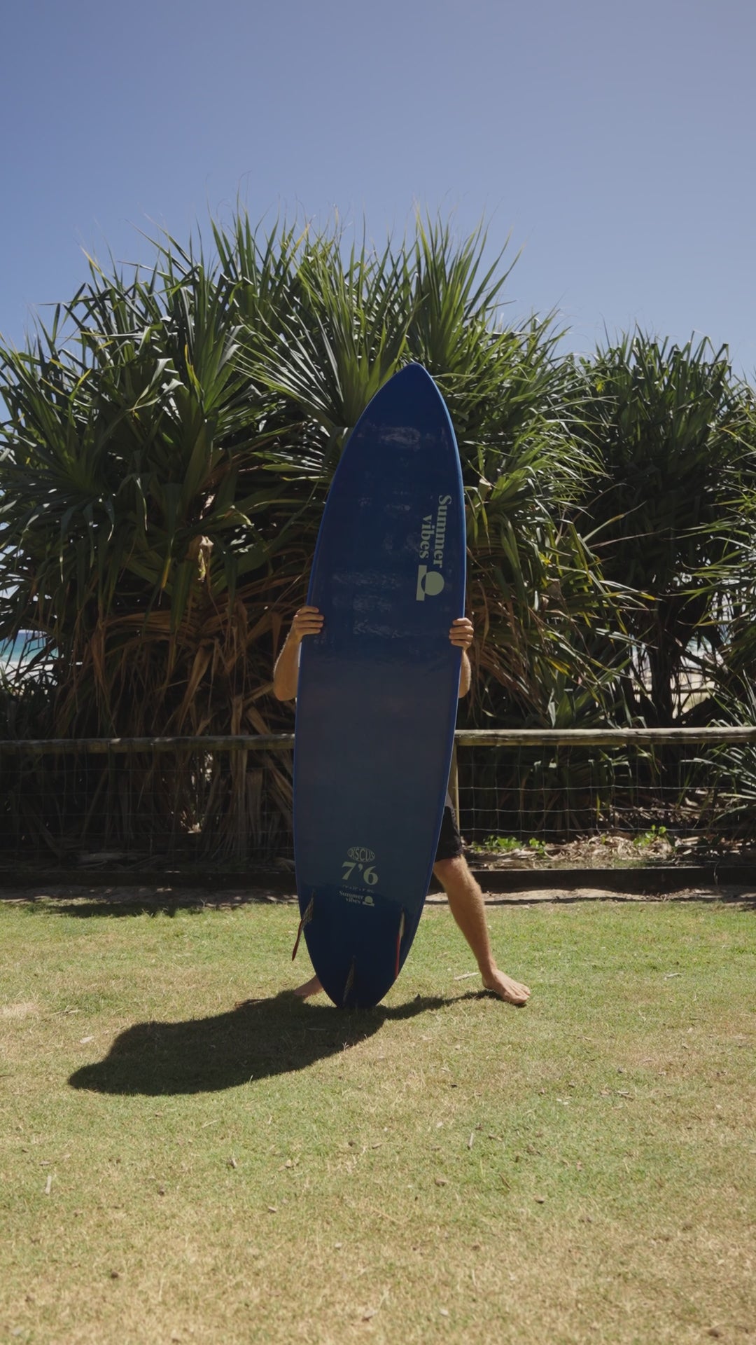 Discus softboard — walk-around video: deck, underside, nose, tail and fin